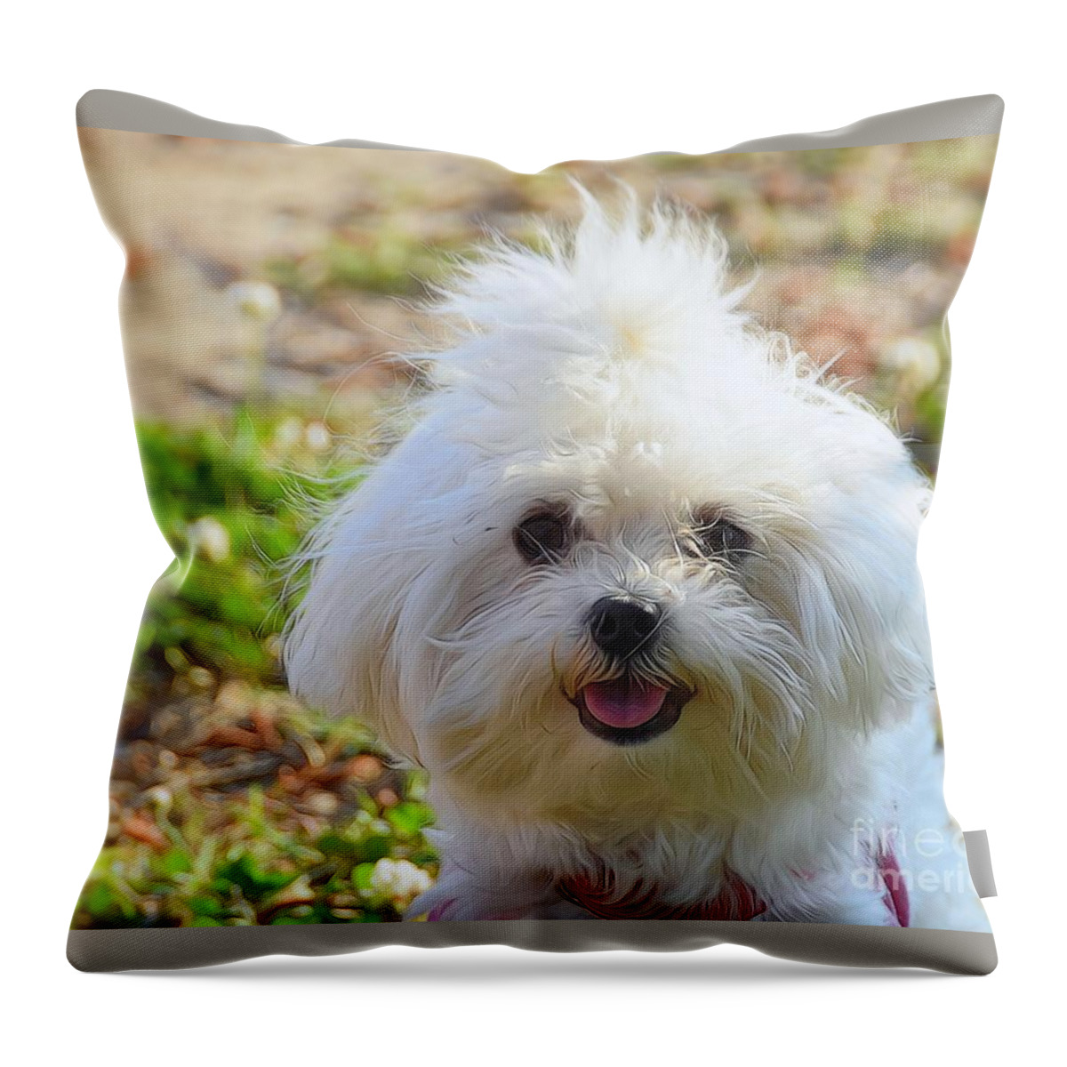 Lap Dogs-puppy-playful-affectionate-animal Throw Pillow featuring the photograph Momma's Baby by Scott Cameron