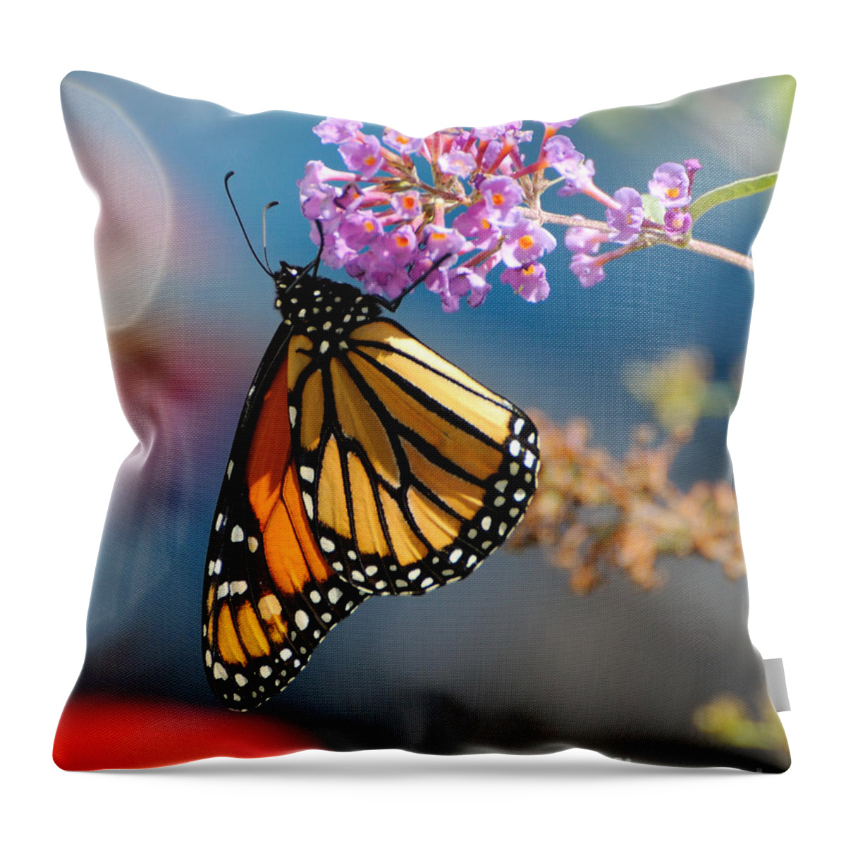 Butterfly Throw Pillow featuring the photograph Monarch 2011 E by Edward Sobuta