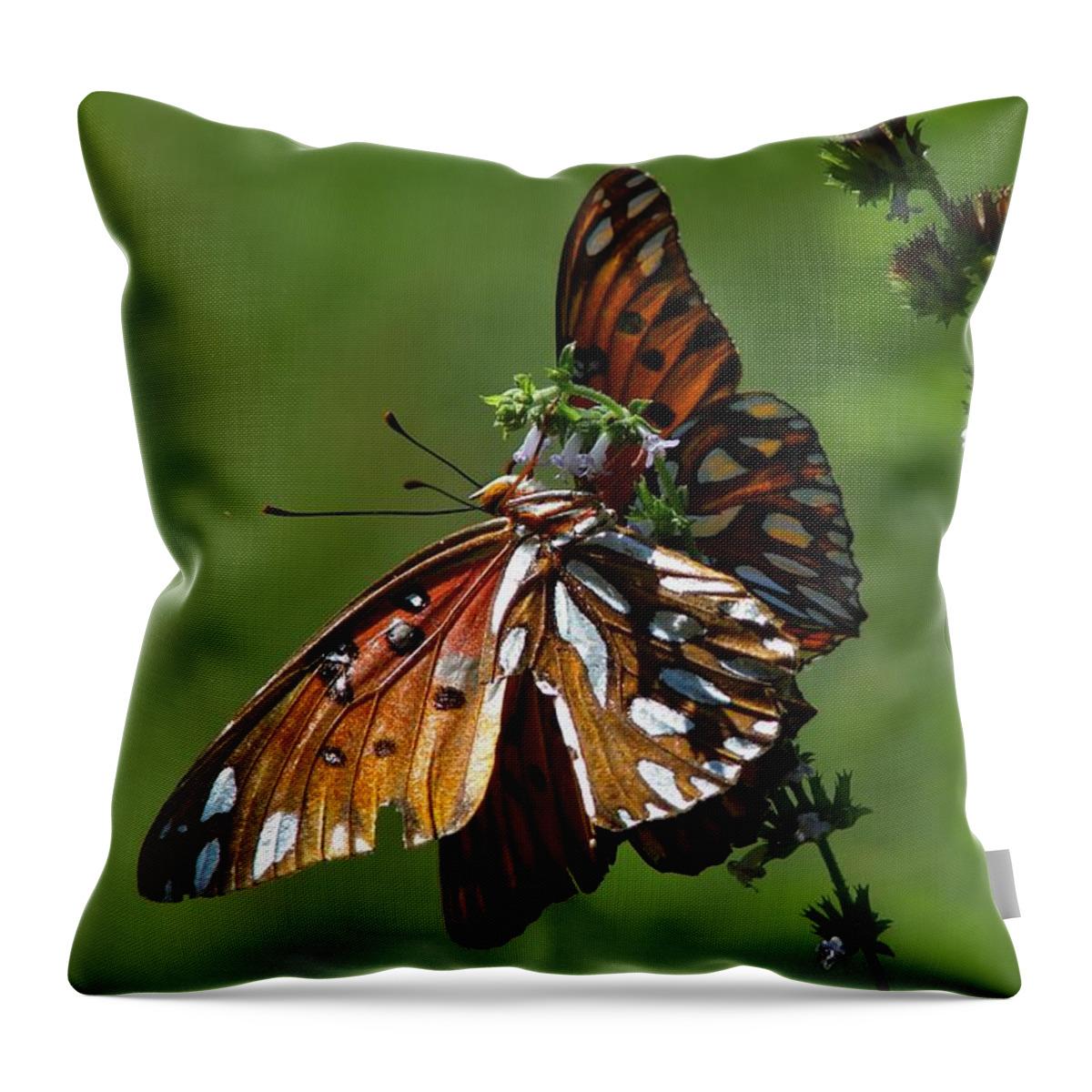 Gulf Fritillary Throw Pillow featuring the photograph Gulf Fritillary by Carl Moore