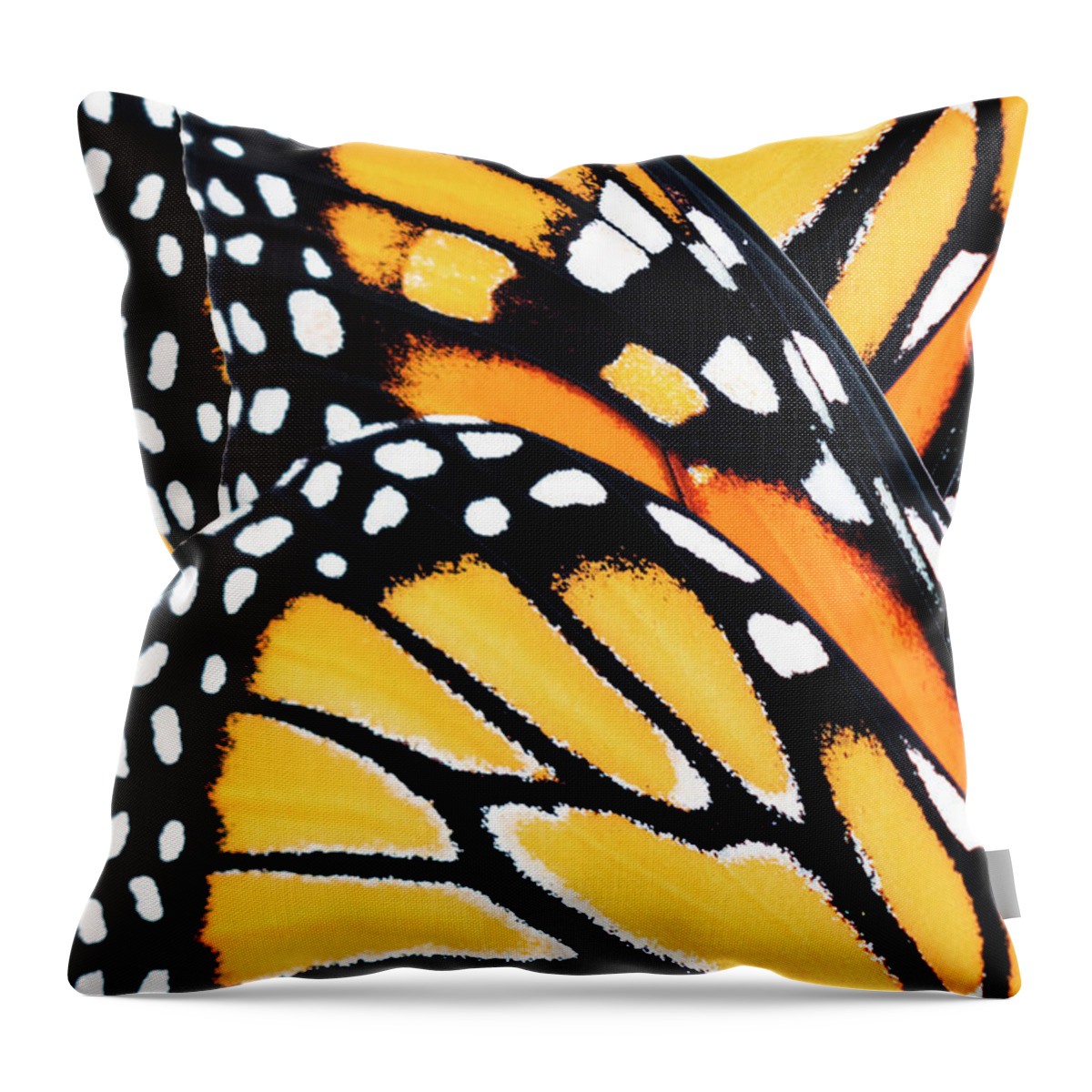 Monarch Butterfly Throw Pillow featuring the mixed media Monarch Butterfly Abstract Pattern by Christina Rollo