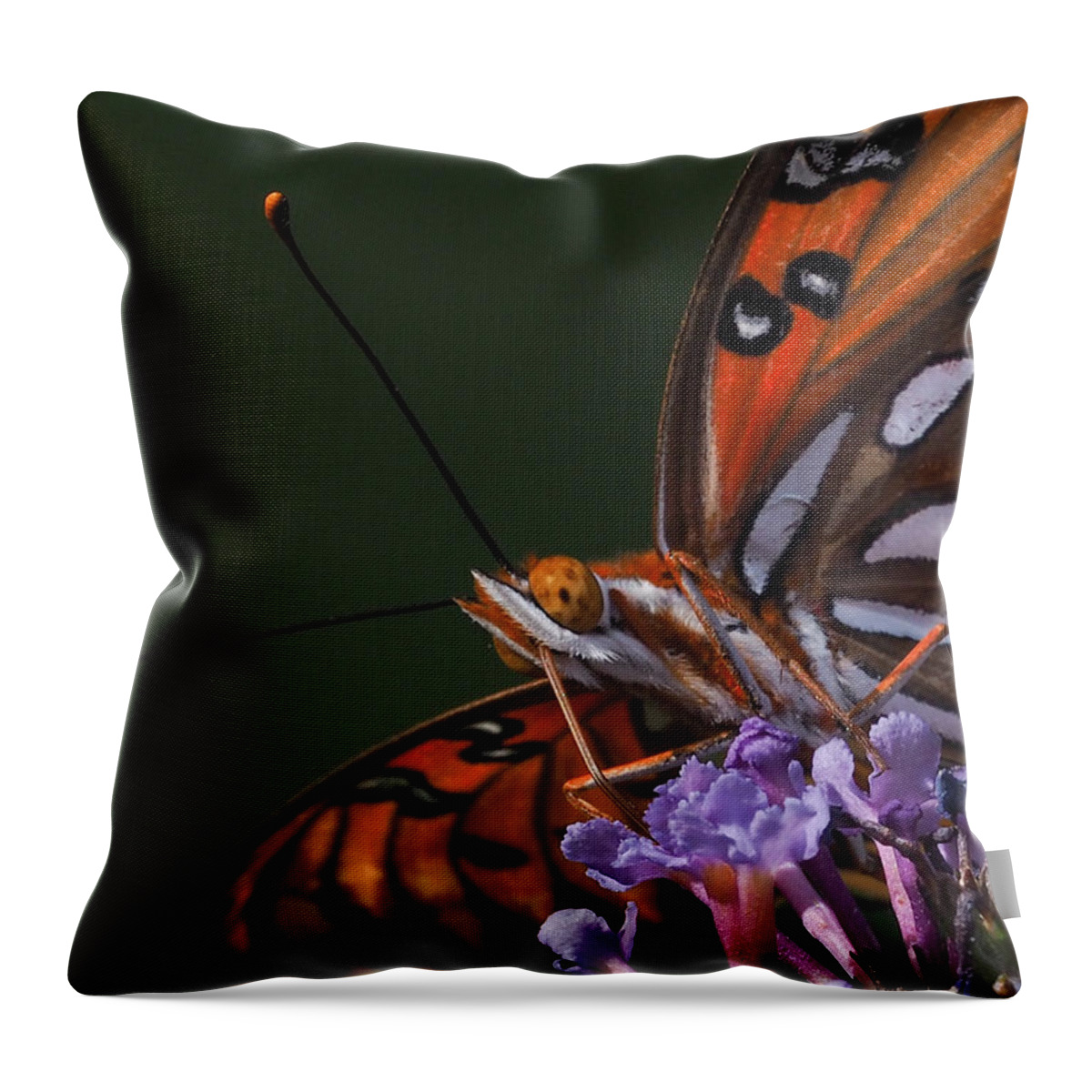 Monarch Closeup Throw Pillow featuring the photograph Monarch Butterfly Closeup by Paula Ponath