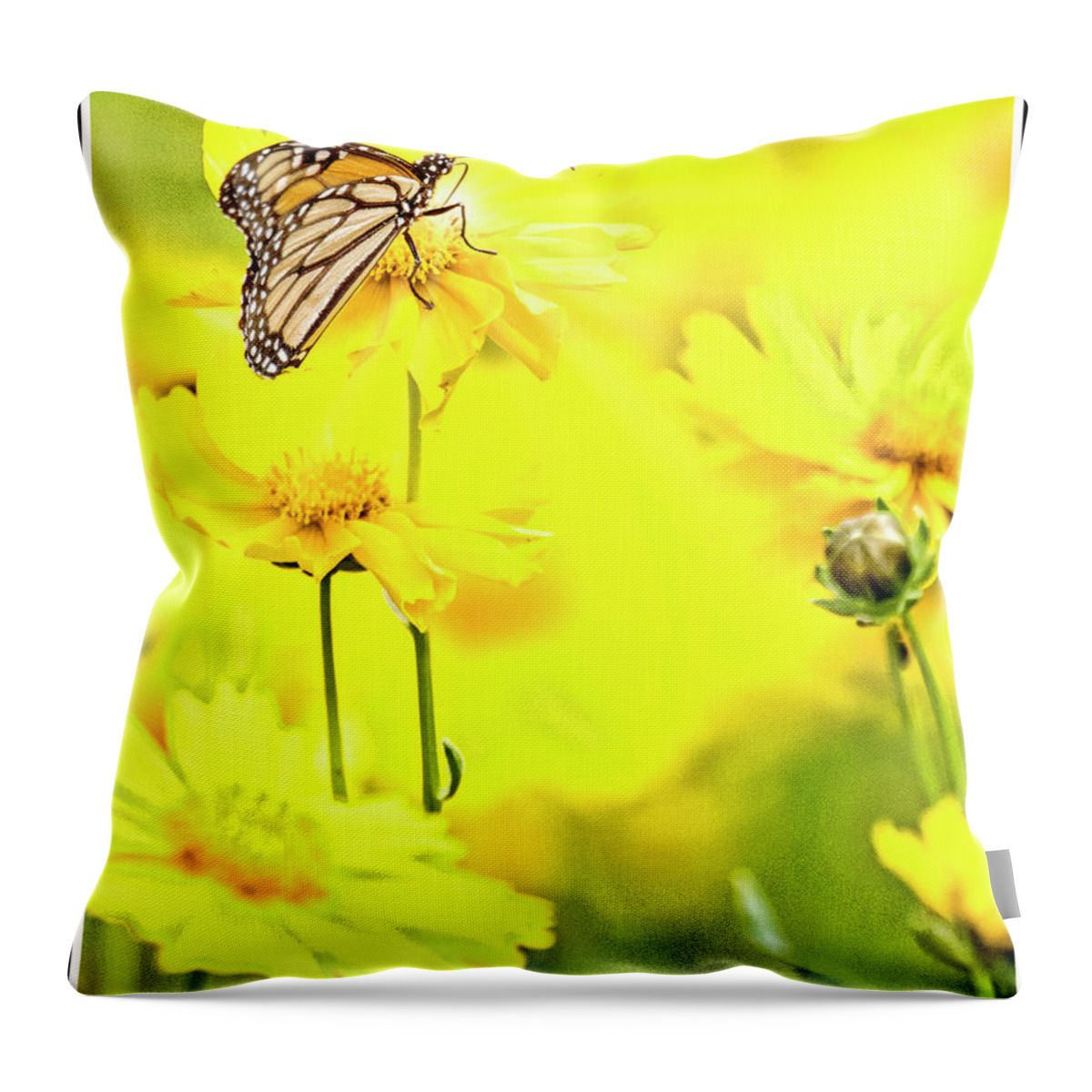 Monarch Butterfly Throw Pillow featuring the digital art Monarch Butterfly on Tickseed Flowers by A Macarthur Gurmankin