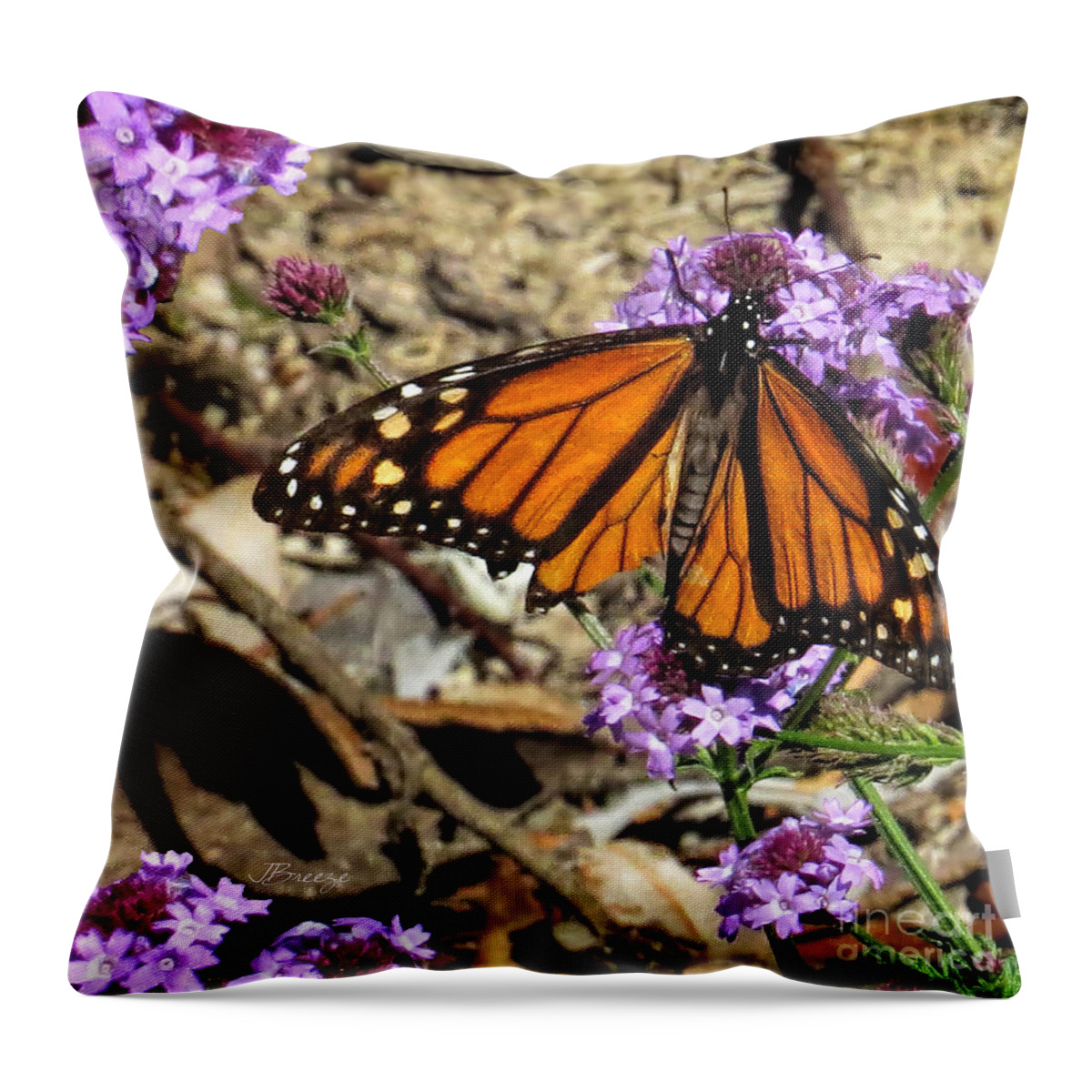 Monarch Butterfly Throw Pillow featuring the photograph Ripped Wing by Jennie Breeze