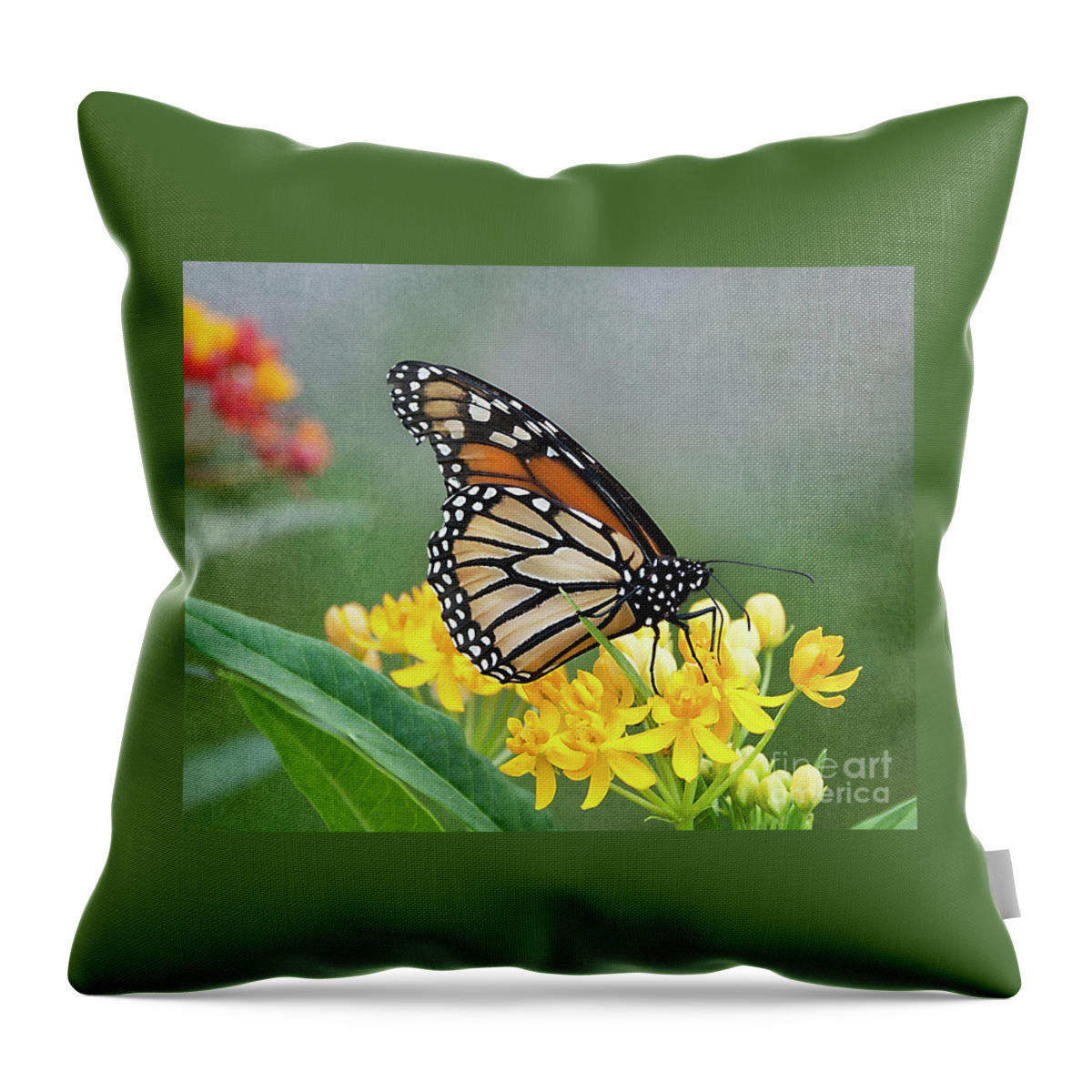 Flower Throw Pillow featuring the photograph Monarch on Yellow by Ann Jacobson