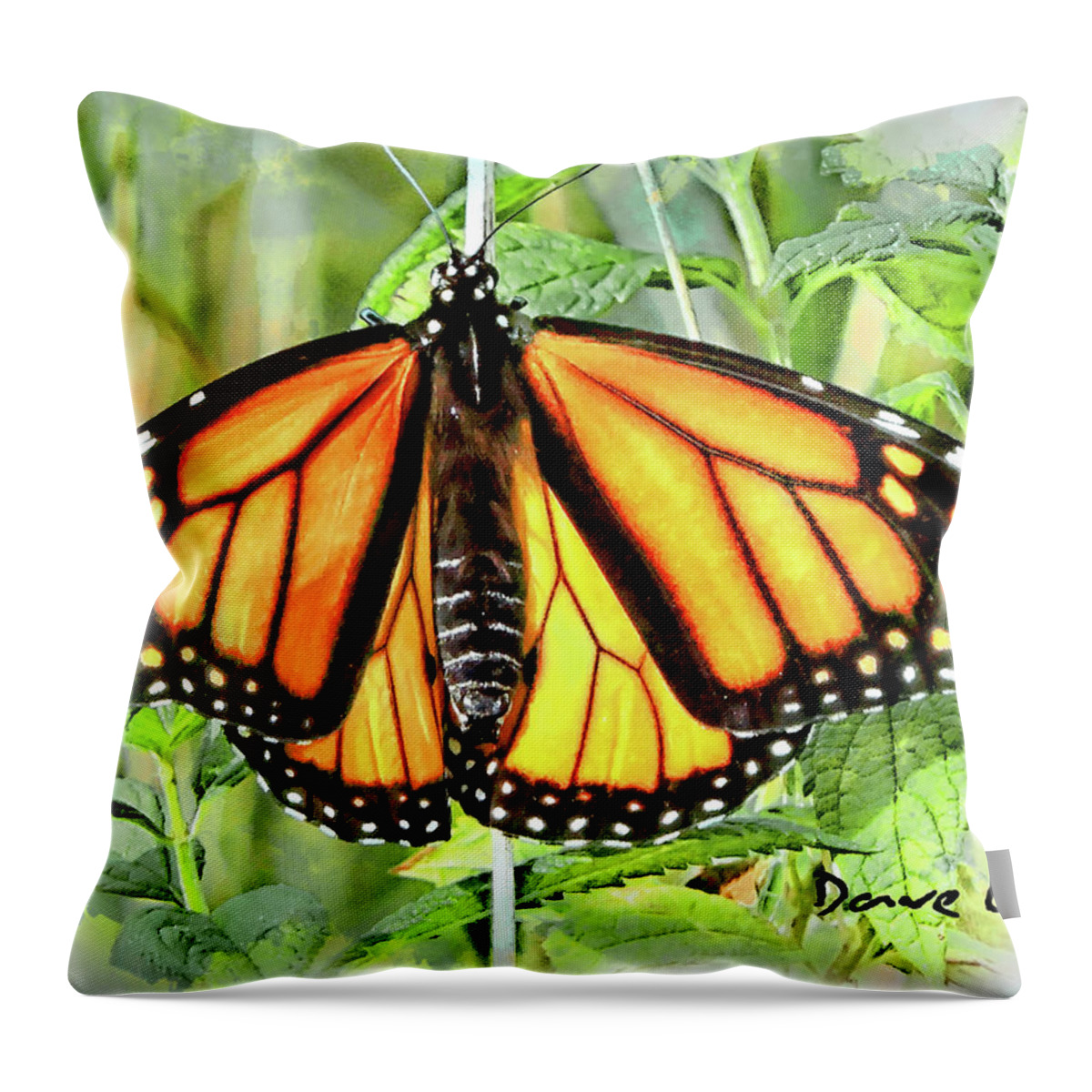 Monarch Throw Pillow featuring the mixed media Monarch, the Wanderer by Dave Lee