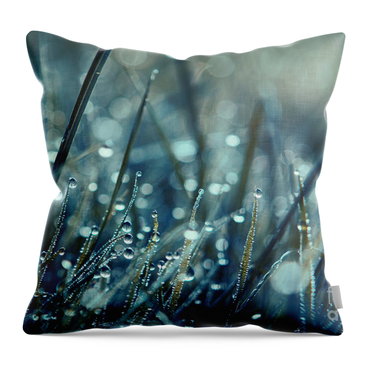 Rain Drops Throw Pillow featuring the photograph Mondo by Aimelle Ml