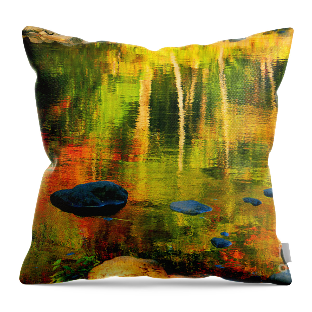Water Canvas Prints Throw Pillow featuring the photograph Monet Autumnal by Aimelle Ml