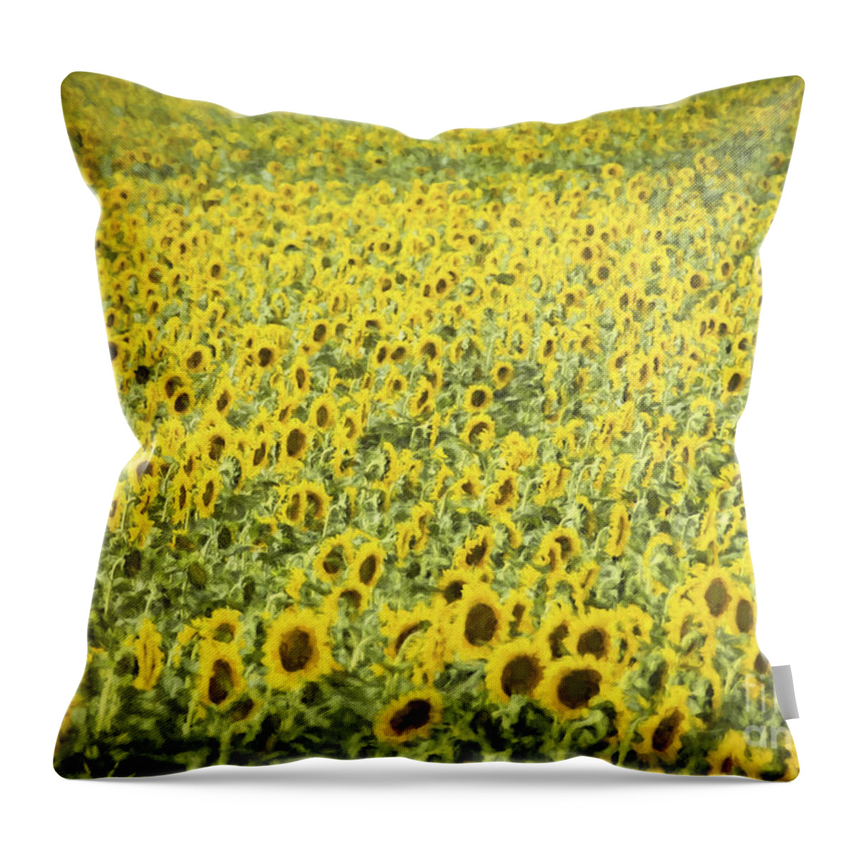 Sunflower Throw Pillow featuring the photograph Monet Sunflower Field by Janice Pariza