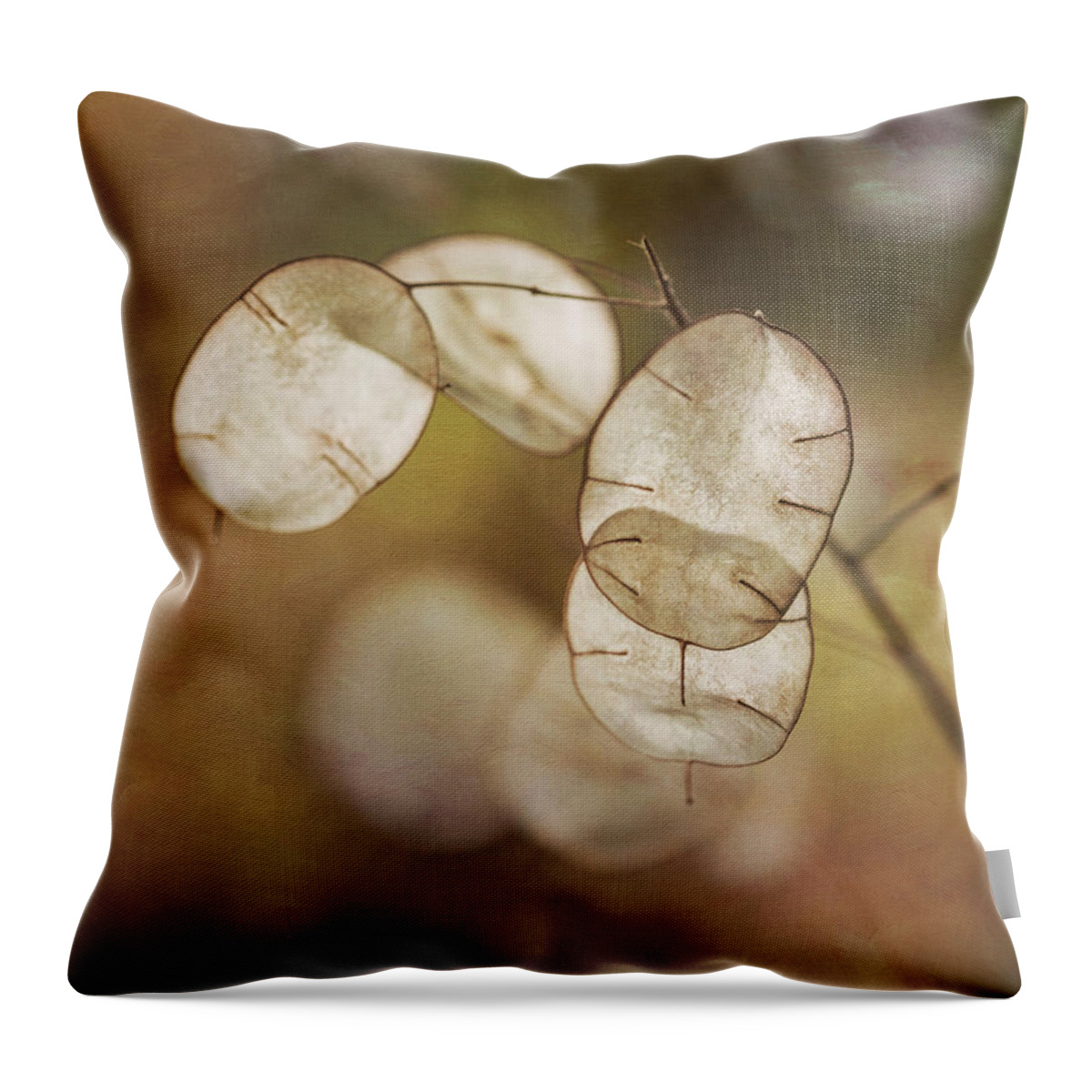 Money Plant Throw Pillow featuring the photograph Money Plant by Dale Kincaid