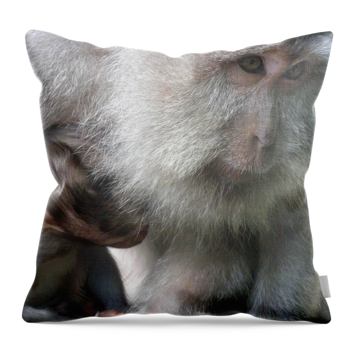 Bali Throw Pillow featuring the photograph Monkey Mother 3 by Mark Sellers