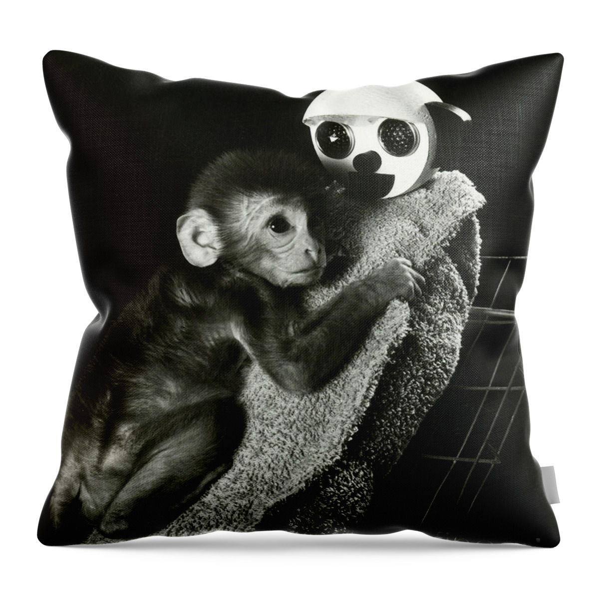 Animal Research Throw Pillow featuring the photograph Monkey Research by Photo Researchers, Inc.
