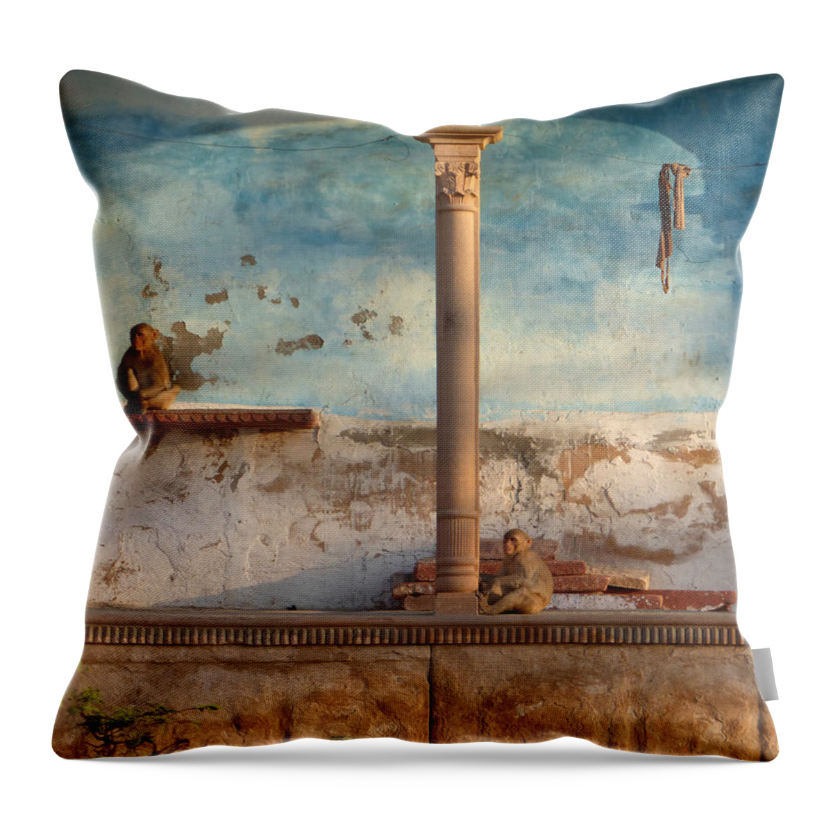 Monkey Throw Pillow featuring the photograph Monkeys at sunset by Jean luc Comperat