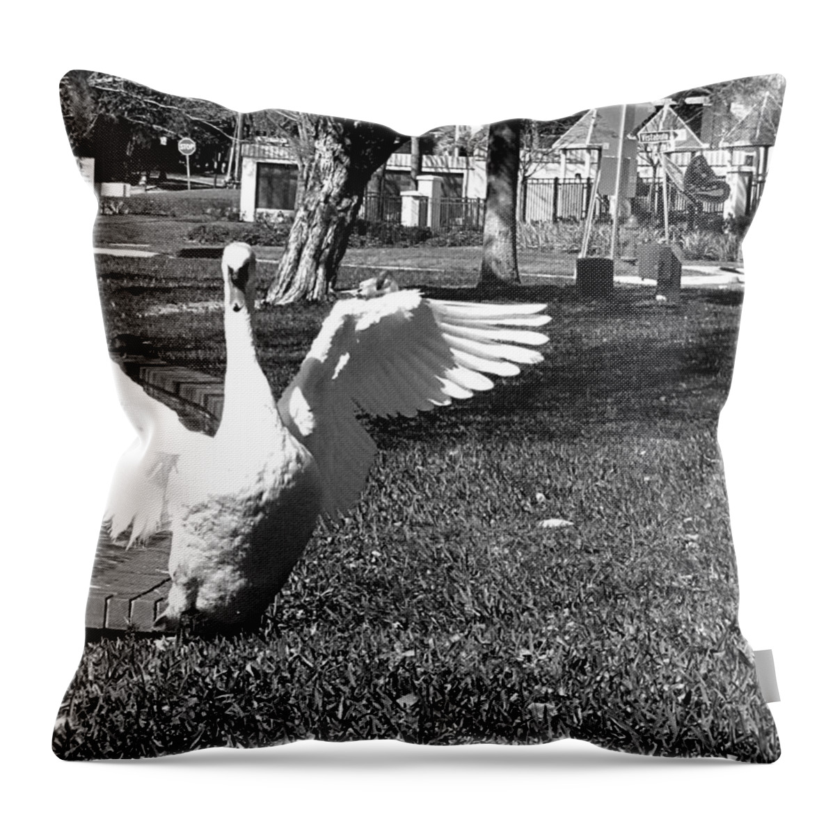 Swan Throw Pillow featuring the photograph Monochrome Flapping Swan by Christopher Mercer