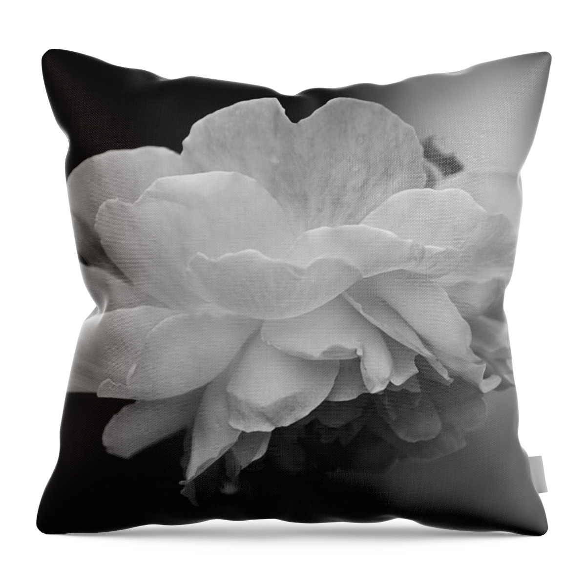 Wild Rose Throw Pillow featuring the photograph Monochrome Rose by Cheryl Day