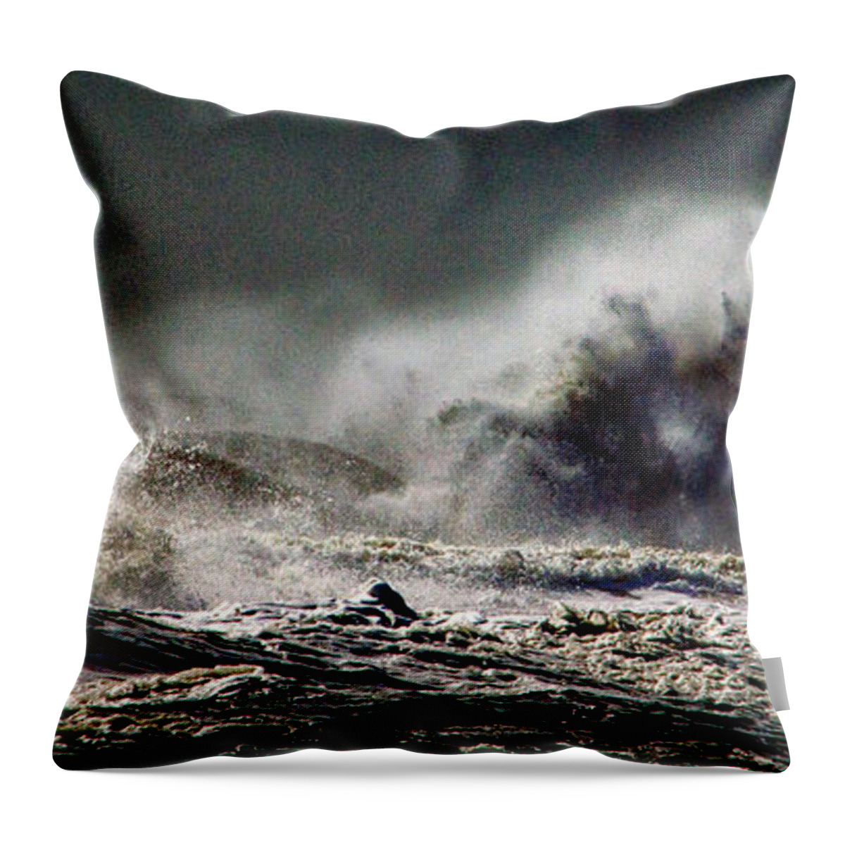 Sea Monster Throw Pillow featuring the photograph Monster of the Seas by Bill Swartwout