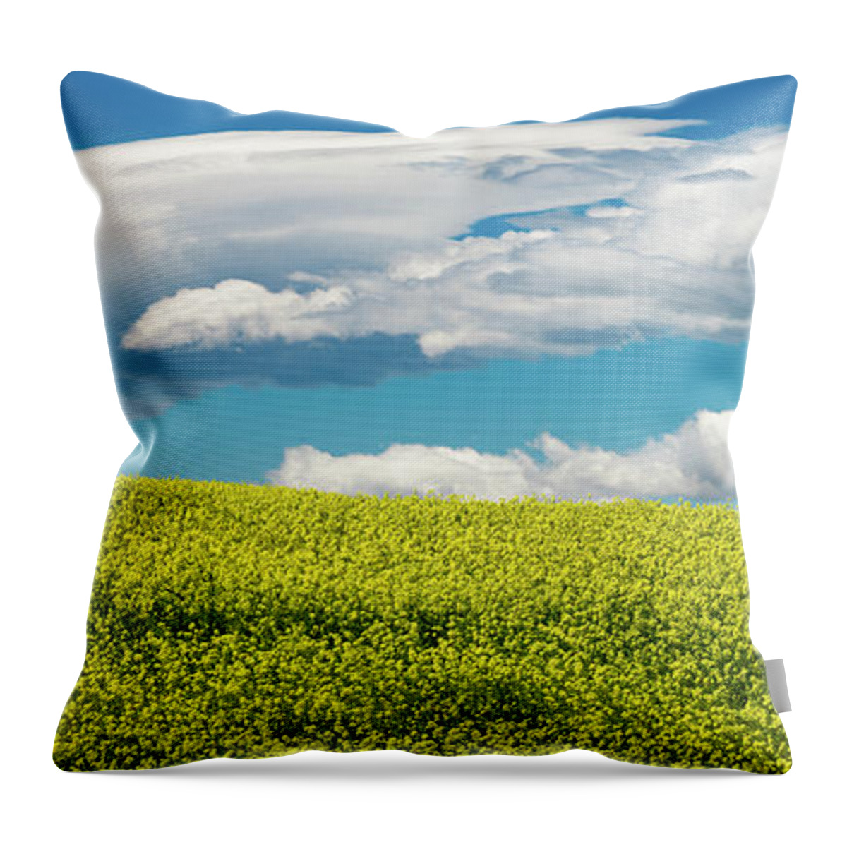 Montana Throw Pillow featuring the photograph Montana Sky by Darren White