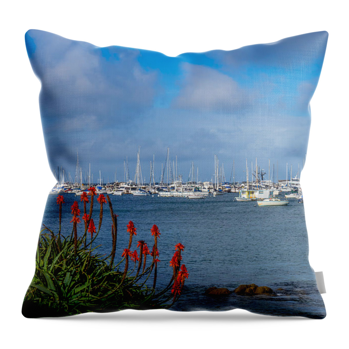Monterey Throw Pillow featuring the photograph Monterey Breakwater by Derek Dean