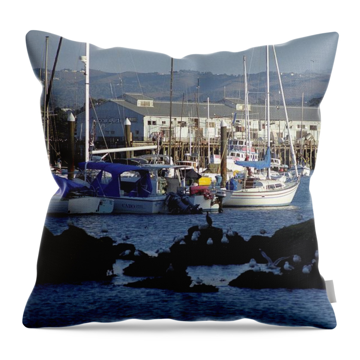 Monterey Harbor Throw Pillow featuring the photograph Monterey Harbor and Wharf 2 by James B Toy