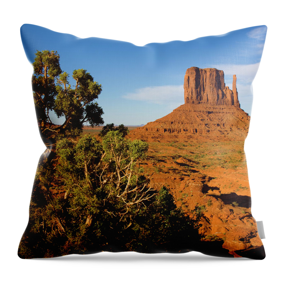 Monument Valley Throw Pillow featuring the photograph Monument Valley by Greg Smith