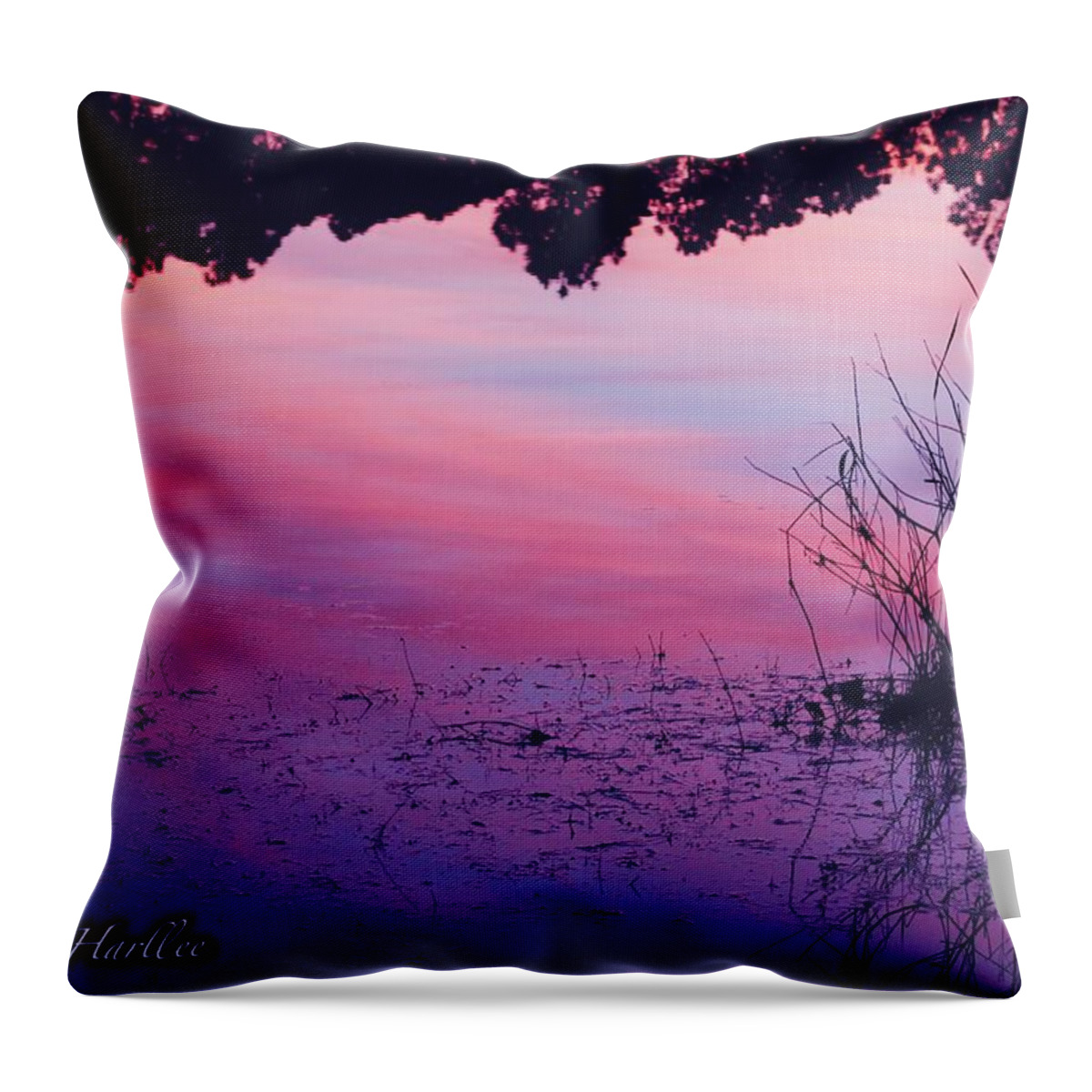  Throw Pillow featuring the photograph Mood Lake by Elizabeth Harllee