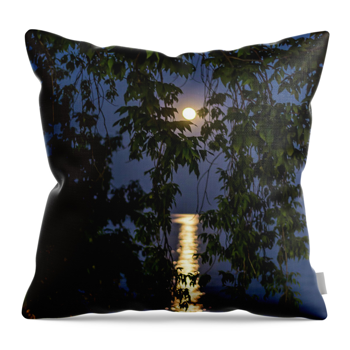 Full Moon Throw Pillow featuring the photograph Moon Curtain by Patti Raine