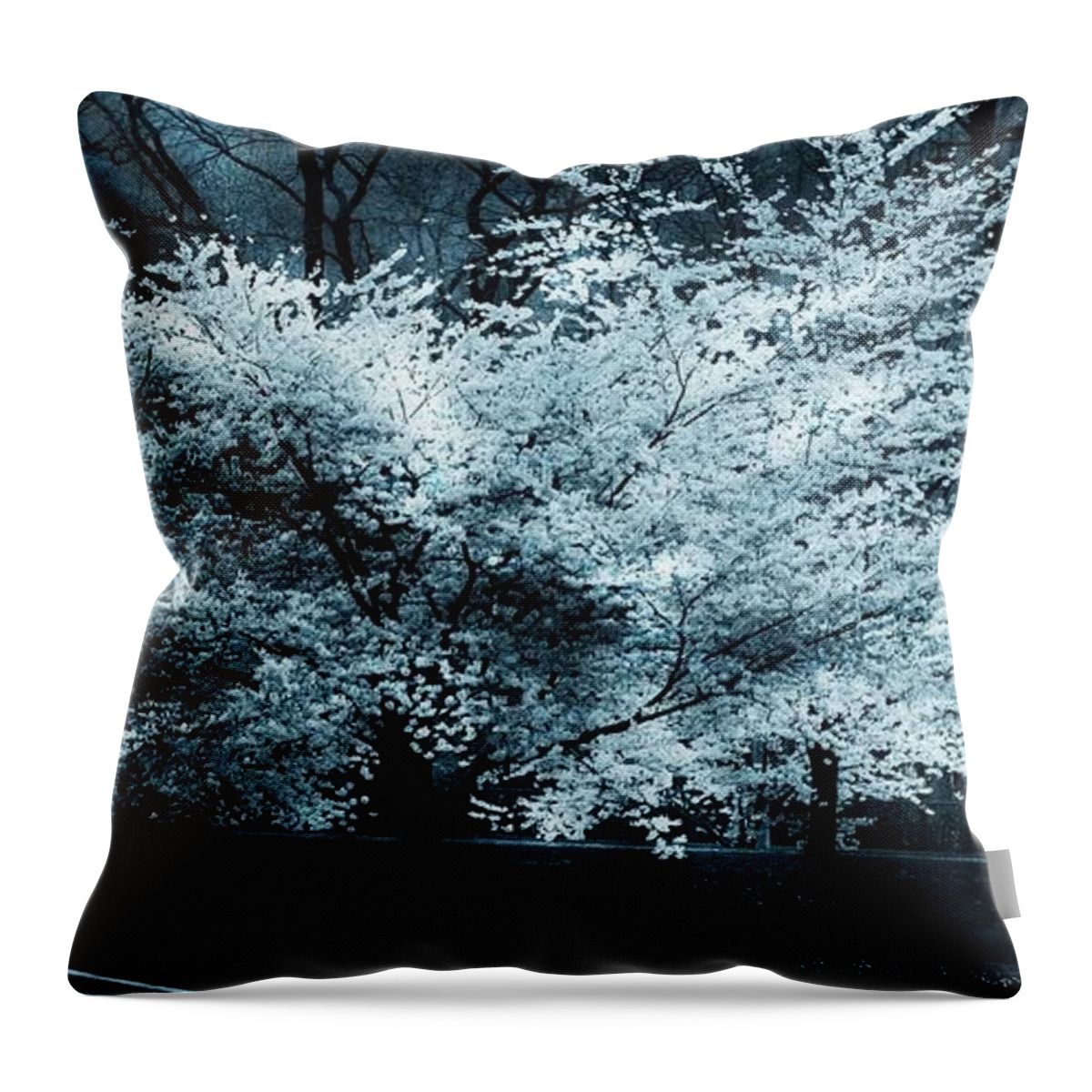 Nature Throw Pillow featuring the photograph Moonlighting by Marcia Lee Jones