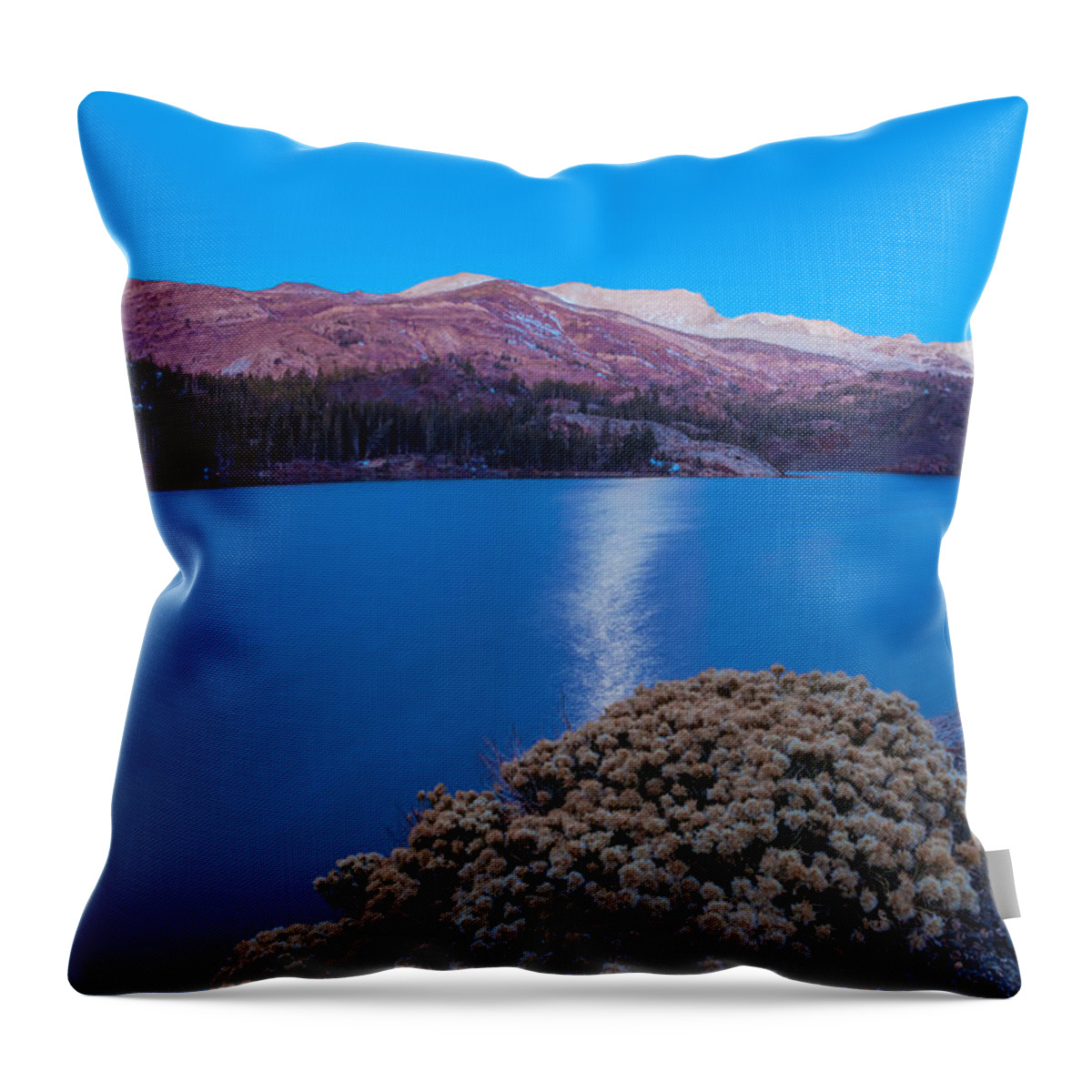 Landscape Throw Pillow featuring the photograph Moon Set Over Ellery by Jonathan Nguyen