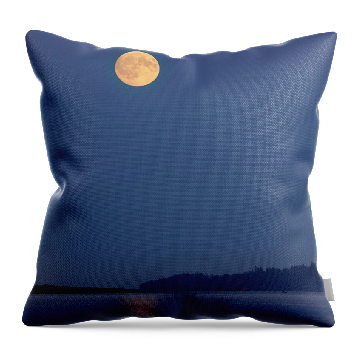 Moon Throw Pillow featuring the photograph Moonlight - 365-224 by Inge Riis McDonald