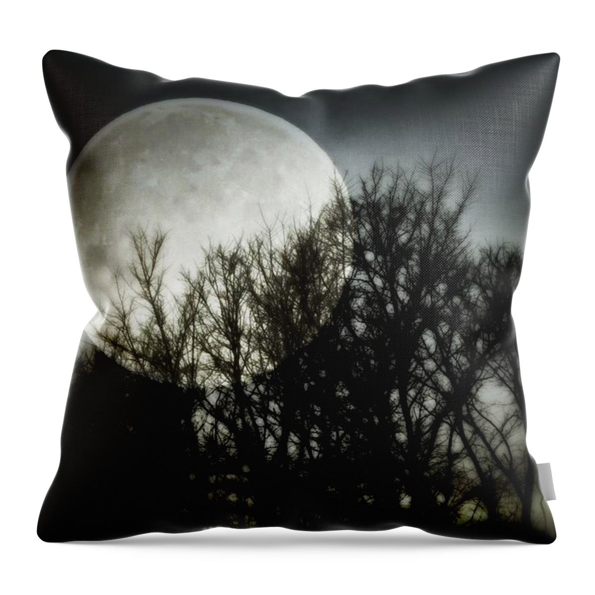Moonlight Throw Pillow featuring the photograph Moonlight by Marianna Mills