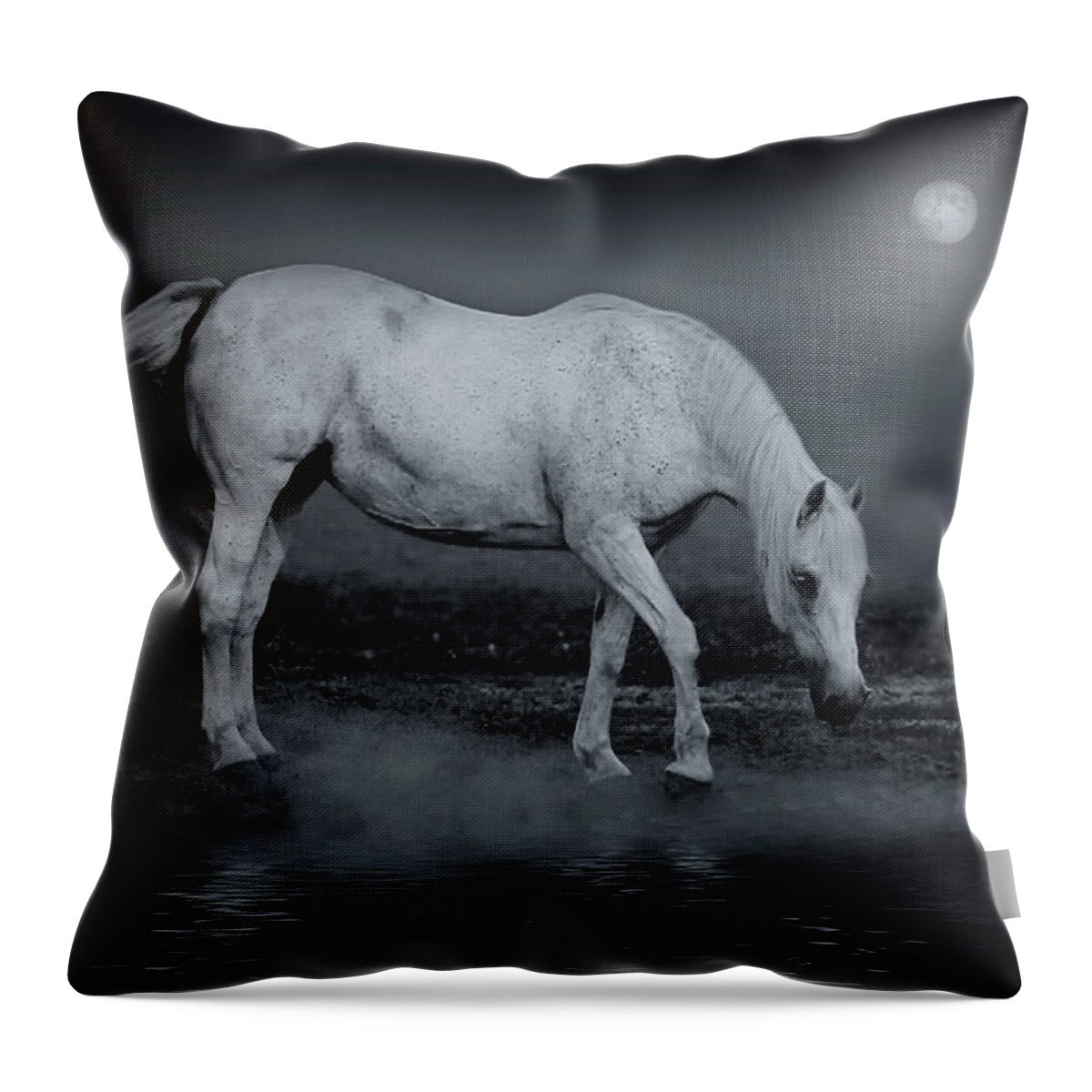 Horse Throw Pillow featuring the photograph Moonlight Shadow by Joachim G Pinkawa