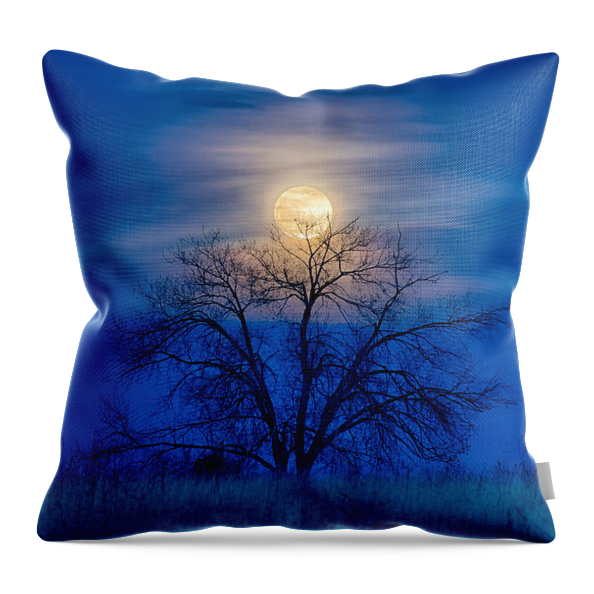 Moon Throw Pillow featuring the photograph Moonrise by David Soldano
