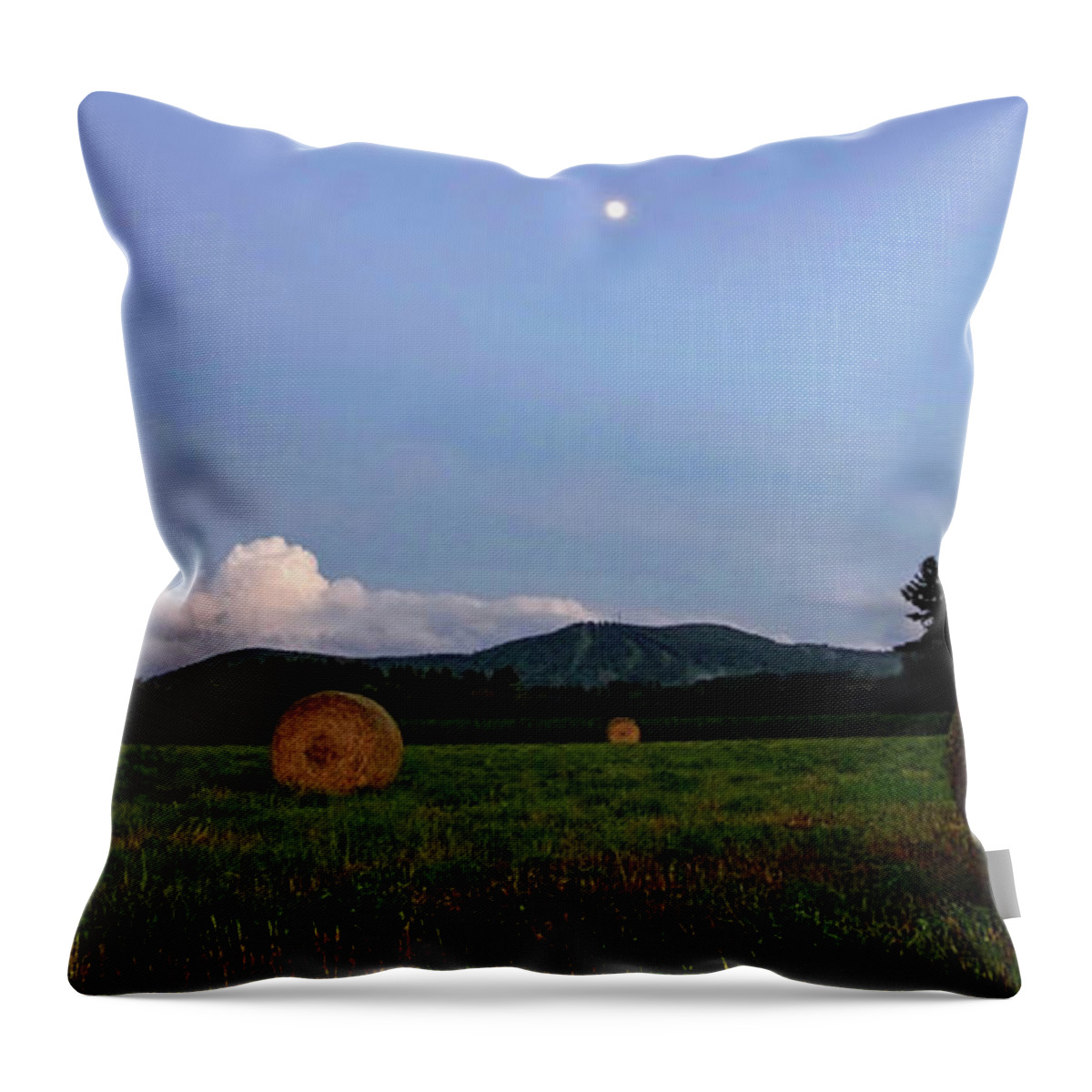 Landscape Throw Pillow featuring the photograph Moonrise Hayfield by Jerry LoFaro