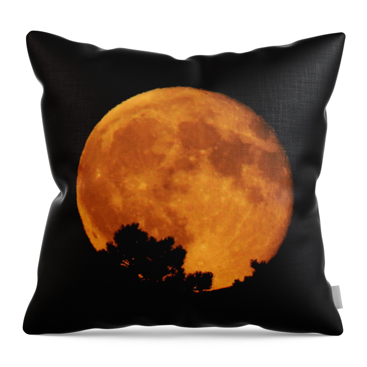 Moon Throw Pillow featuring the photograph Moonrise Over Pines by Dawn Key