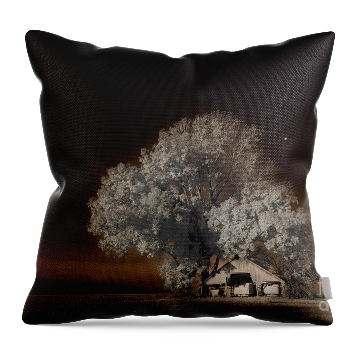 Moonrise Over The Bottoms Throw Pillow featuring the digital art Moonrise Over the Bottoms, October by William Fields