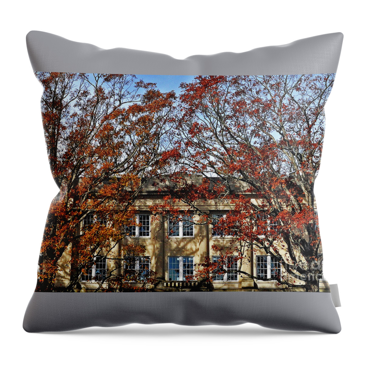 Courthouse Throw Pillow featuring the photograph Moore County Courthouse In Autumn by Lydia Holly