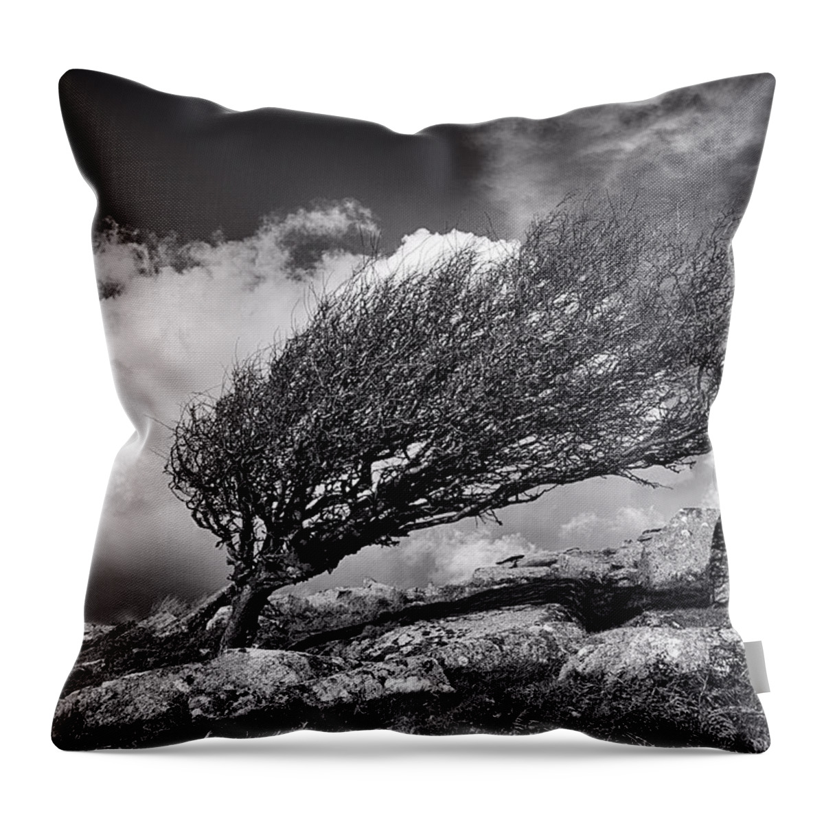 Blasted Heath Throw Pillow featuring the photograph Moorland Tree by Phil Tomlinson