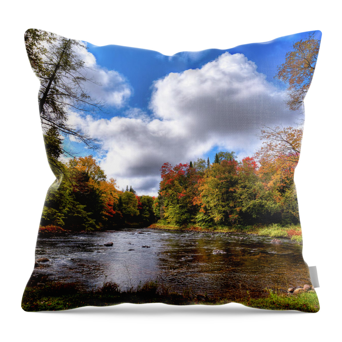 Landscapes Throw Pillow featuring the photograph Moose River near Scusa Road by David Patterson