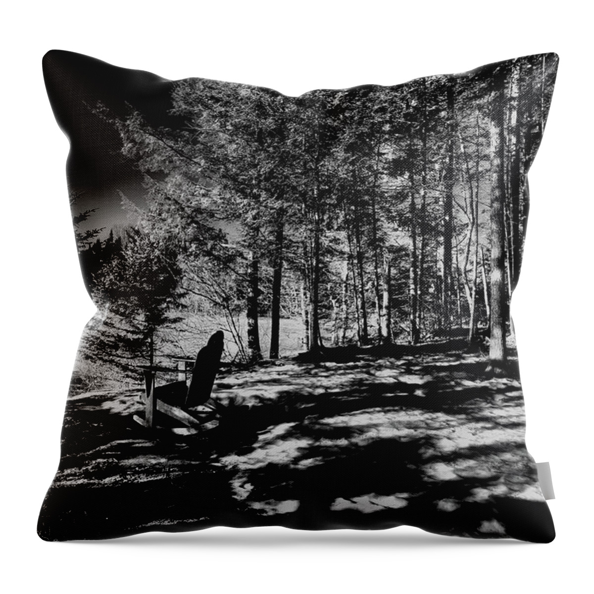 Moose River Shadows Throw Pillow featuring the photograph Moose River Shadows by David Patterson