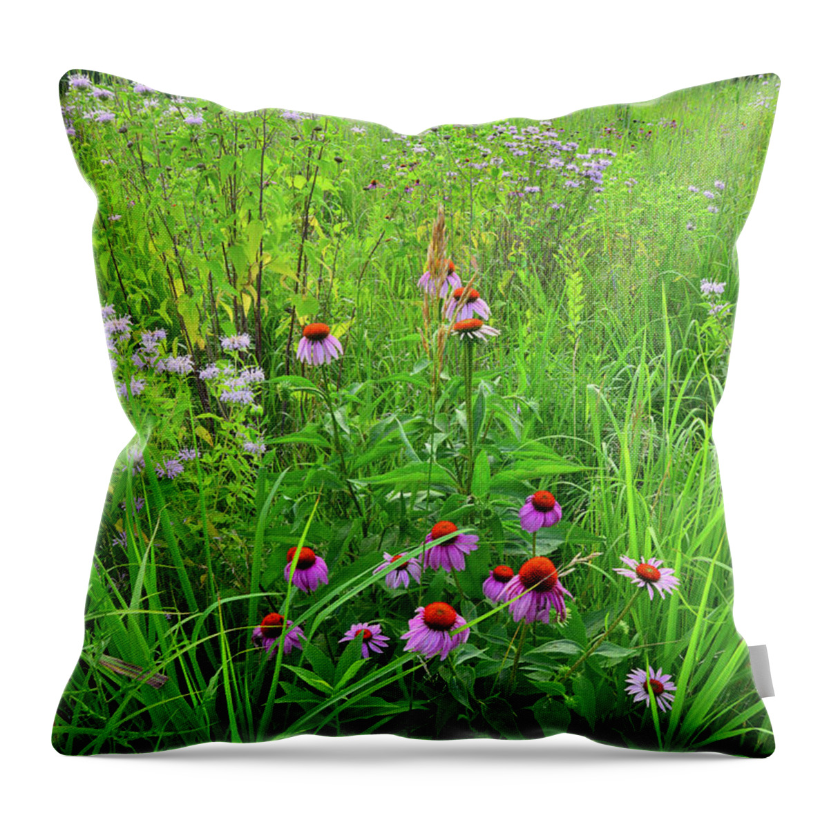 Moraine Hills State Park Throw Pillow featuring the photograph Moraine Hills Shelley Kelly Prairie Wildflowers by Ray Mathis