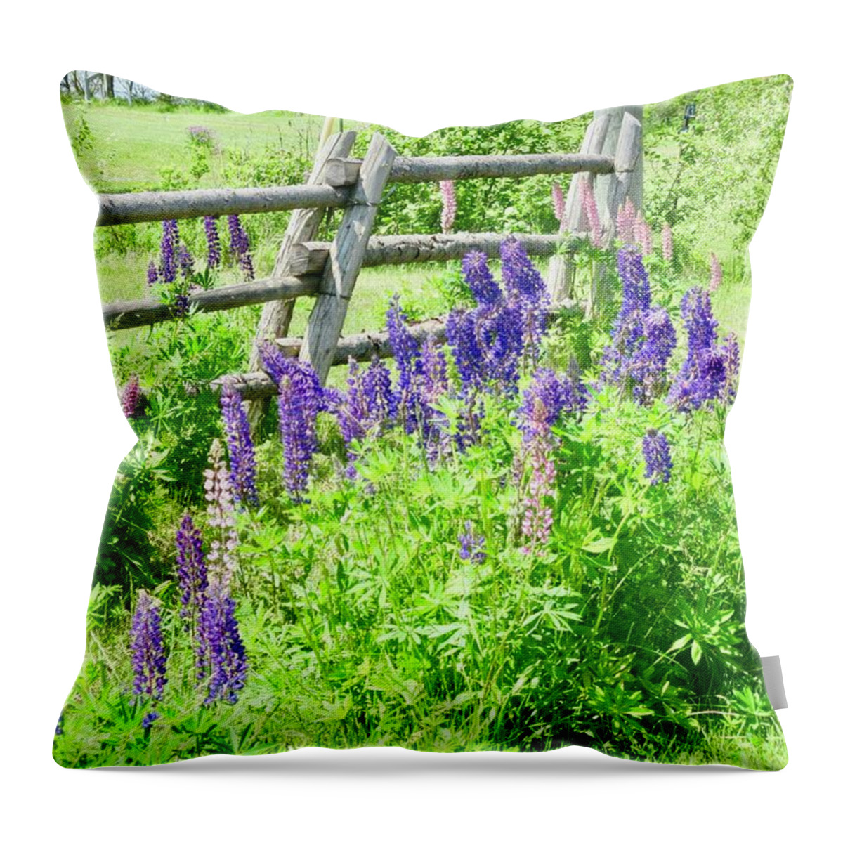 Lupins Throw Pillow featuring the photograph More Lupins by Stephanie Moore
