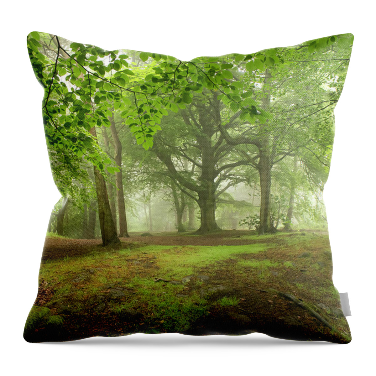Fog Throw Pillow featuring the photograph More of the Fog in the Trees. by Elena Perelman