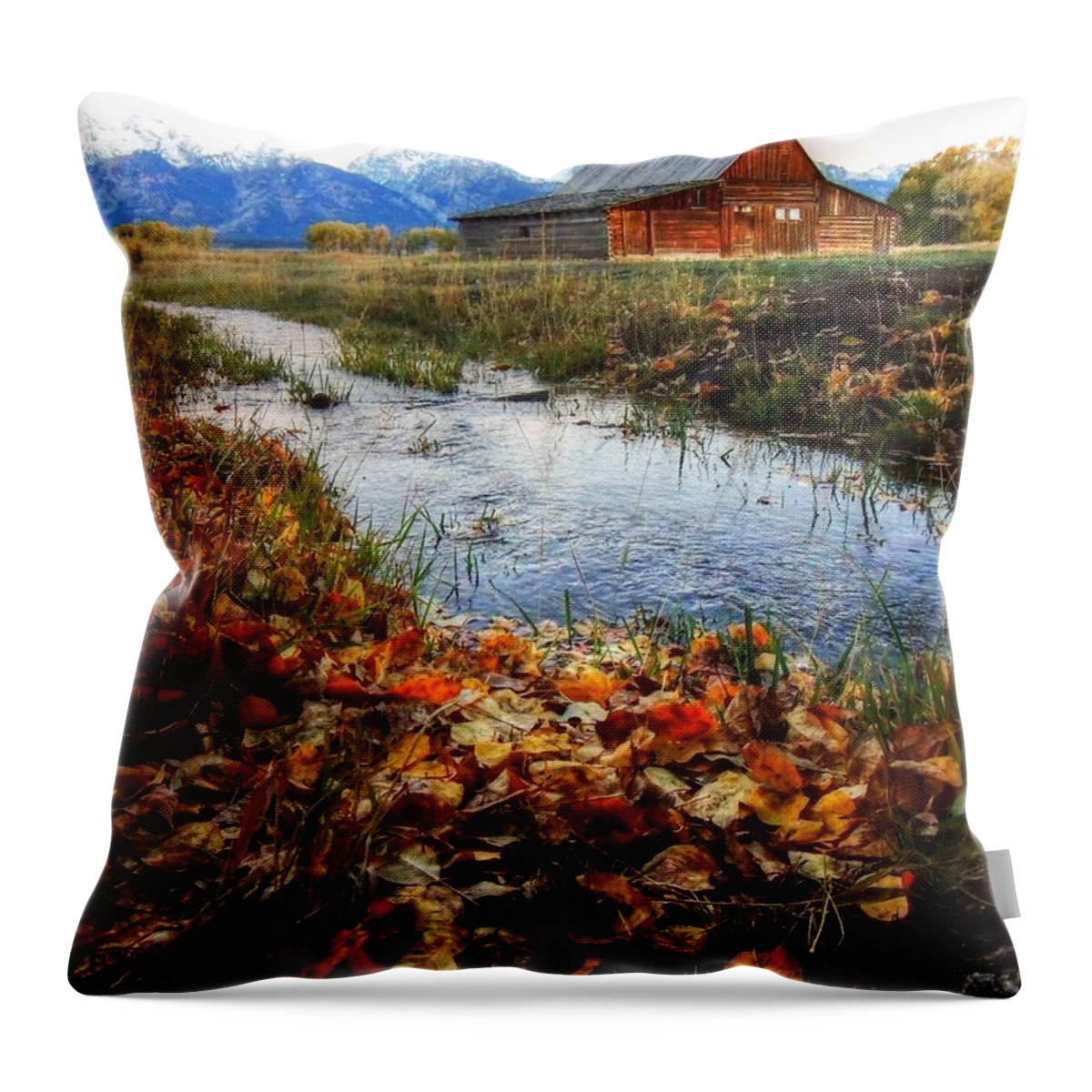 Mormon Row Throw Pillow featuring the photograph Mormon Row by Charlotte Schafer