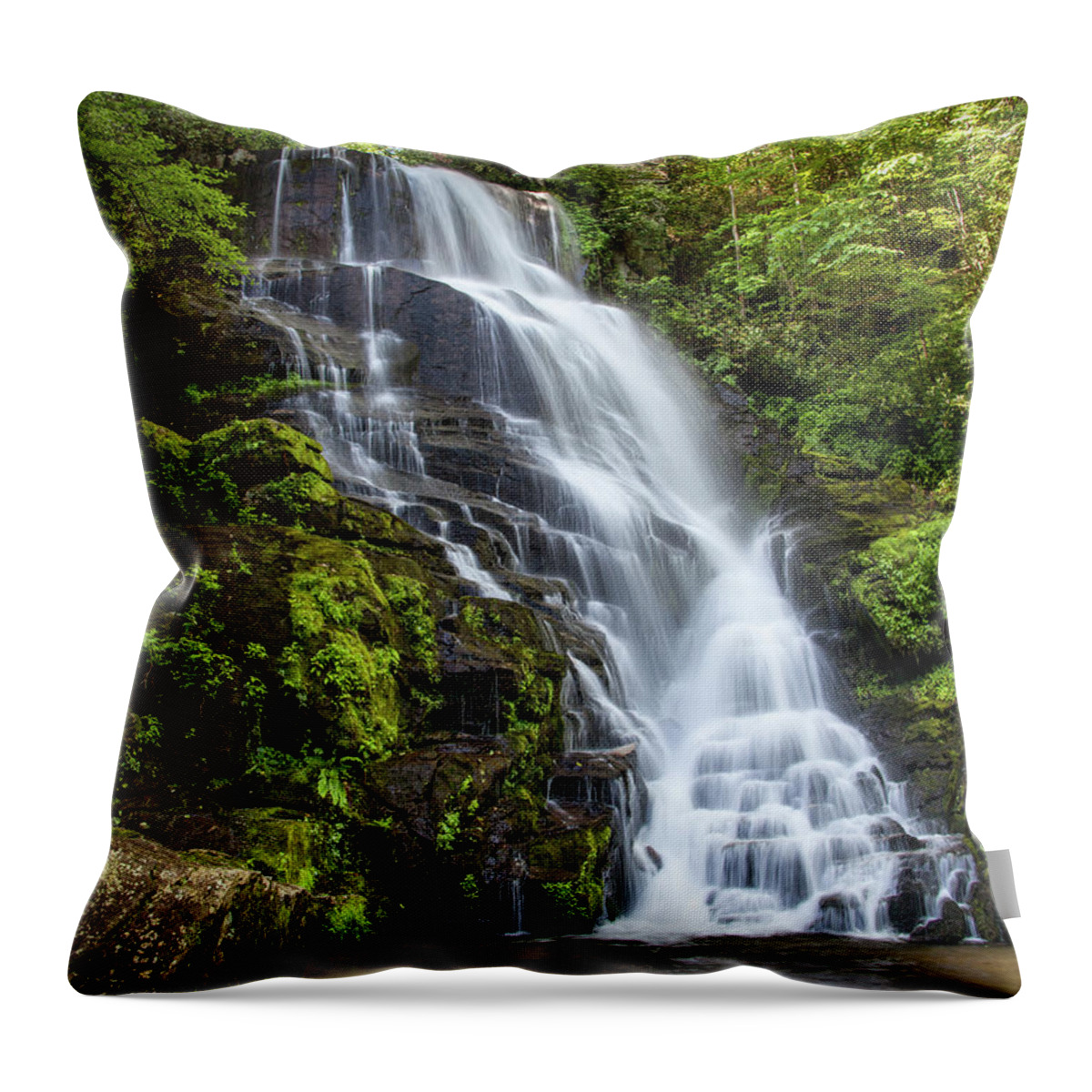 Eastatoe Falls Throw Pillow featuring the photograph Morning at Eastatoe Falls by Rob Travis
