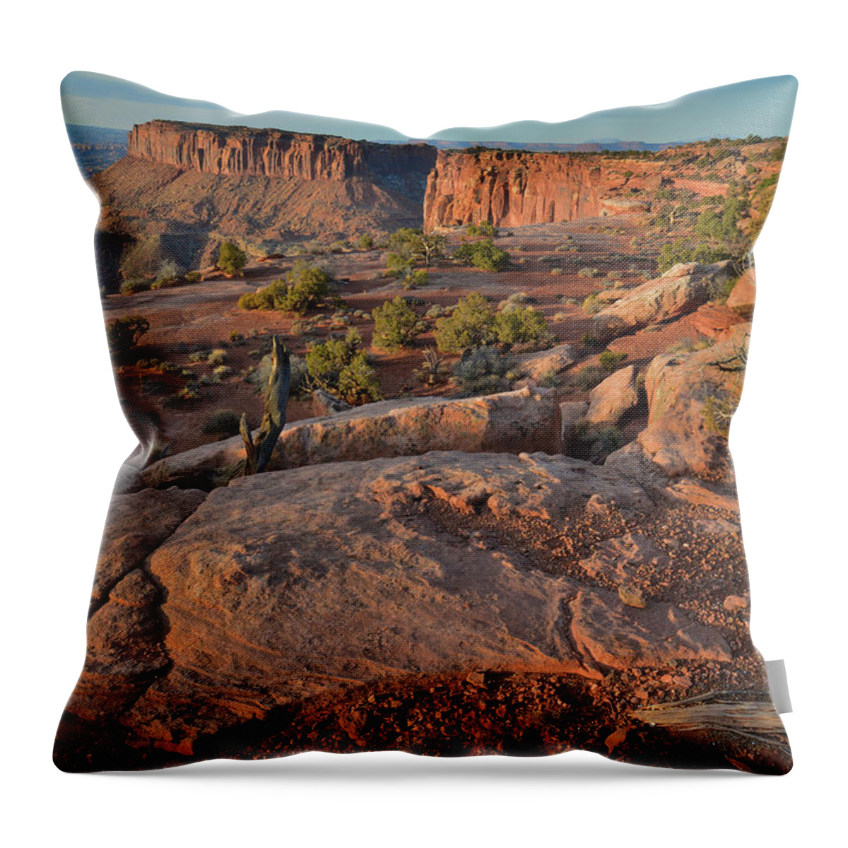 Canyonlands National Park Throw Pillow featuring the photograph Morning at Grand View Point - Canyonlands NP by Ray Mathis