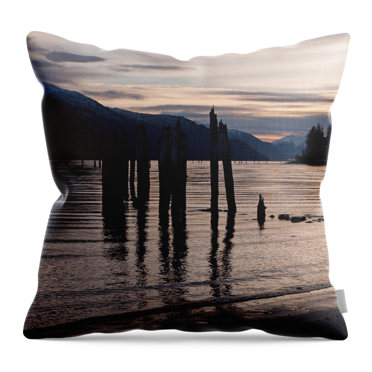 Piling Throw Pillow featuring the photograph Morning at Sandy Beach by Cathy Mahnke