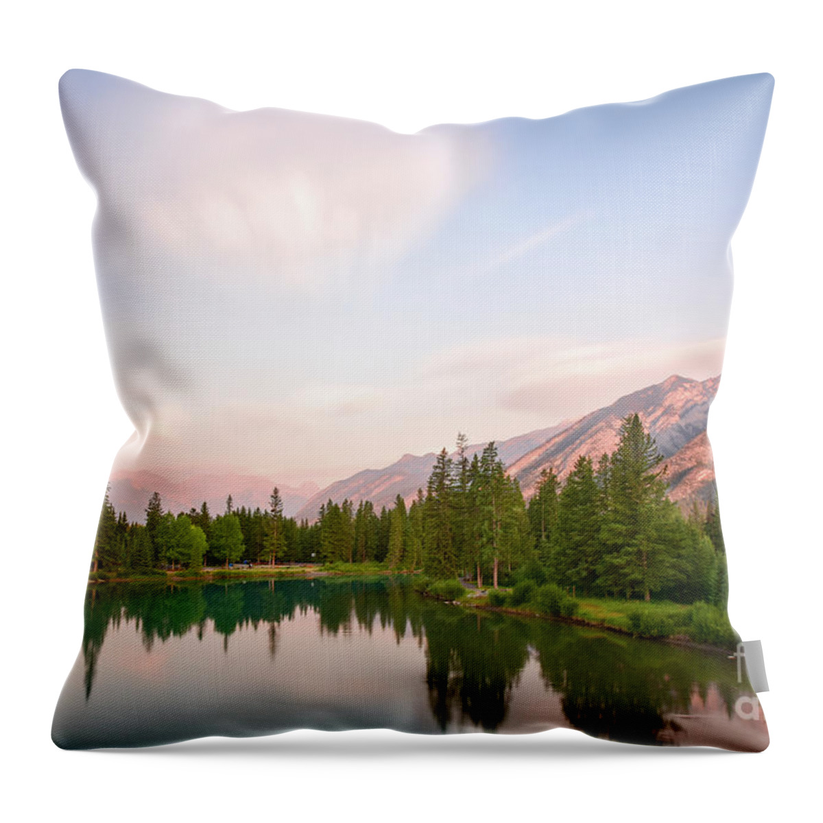 Lake Throw Pillow featuring the photograph Morning at the lake by Paul Quinn