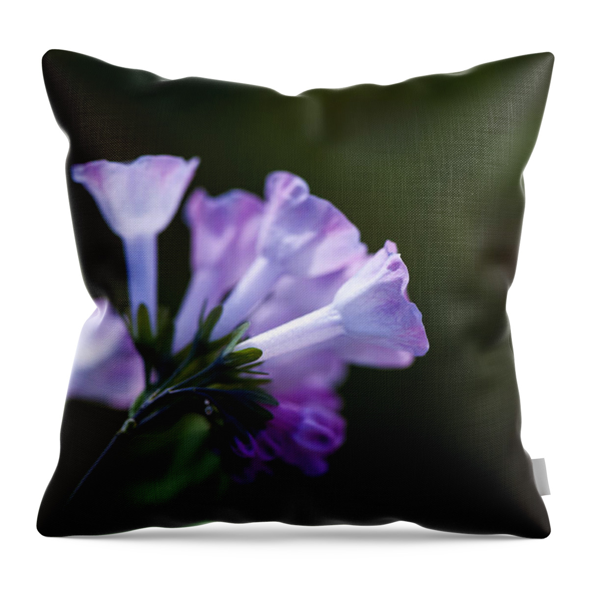  Throw Pillow featuring the photograph Morning bluebells by Dan Hefle