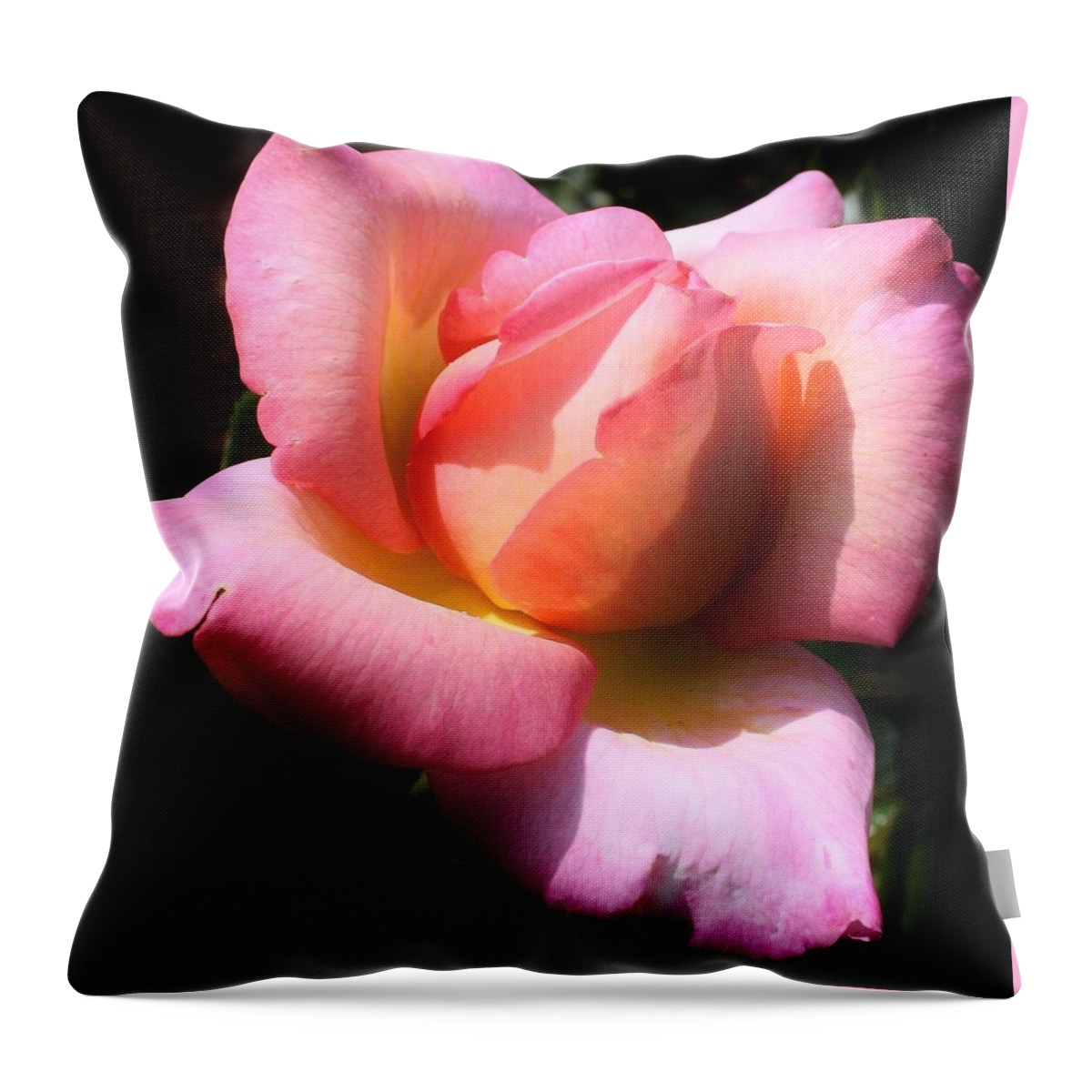 Flora Throw Pillow featuring the photograph Morning Cheer by Bruce Bley
