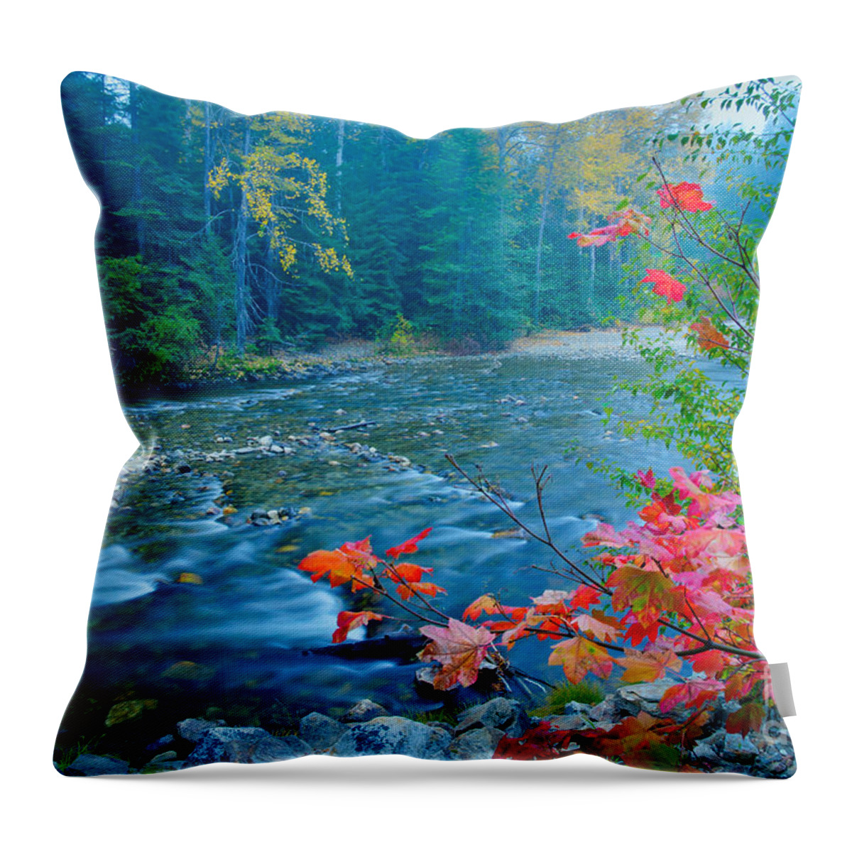 Nason Creek Throw Pillow featuring the photograph Morning color by Idaho Scenic Images Linda Lantzy