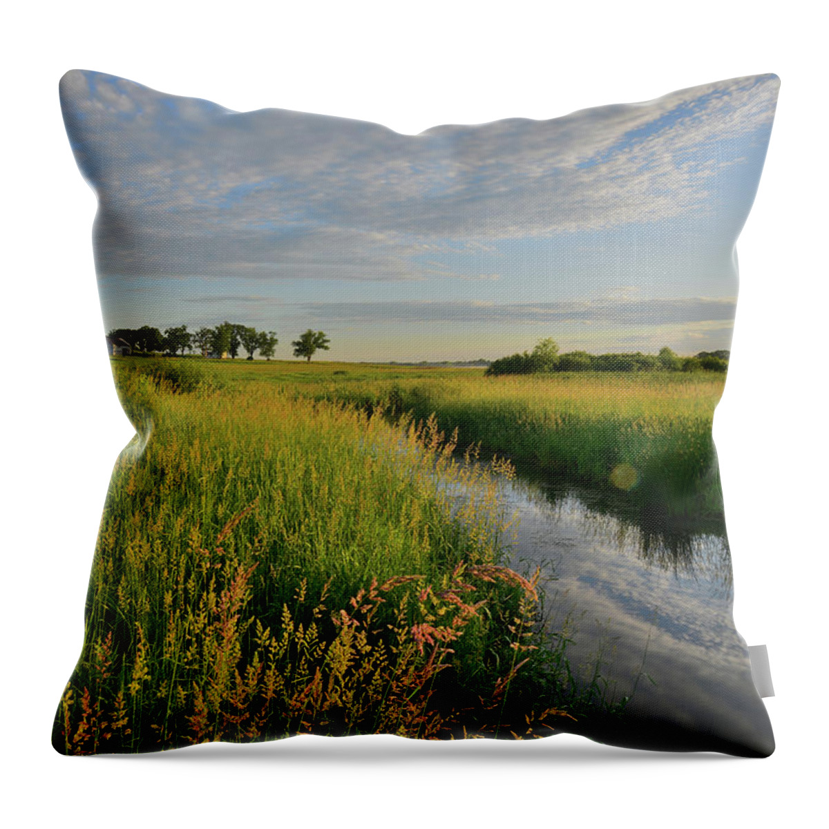 Glacial Park Throw Pillow featuring the photograph Morning Comes to Glacial Park by Ray Mathis